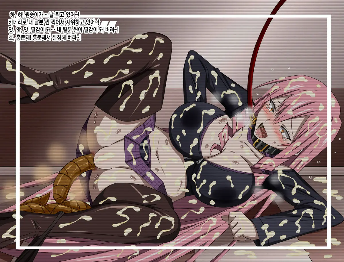Super Hentai CG Shuu 15 Saru Ni Kawareru Mesu Dorei